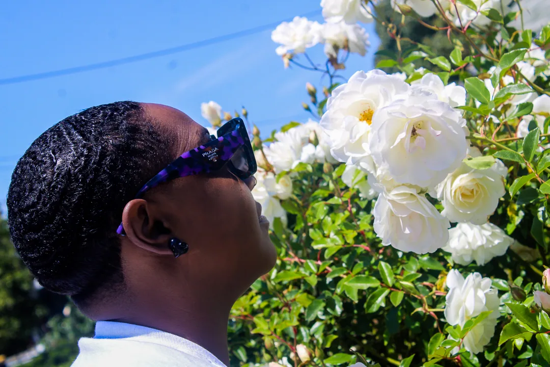Close-up photograph of white roses