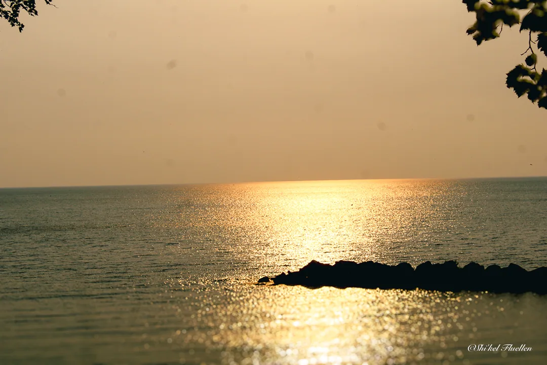 Golden sunset over a calm lake shoreline